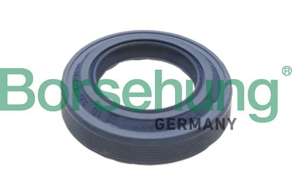 Borsehung Wellendichtring, Differential