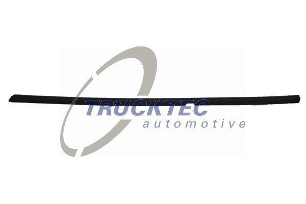 TRUCKTEC AUTOMOTIVE Zier-/Schutzleiste, Türscheibe